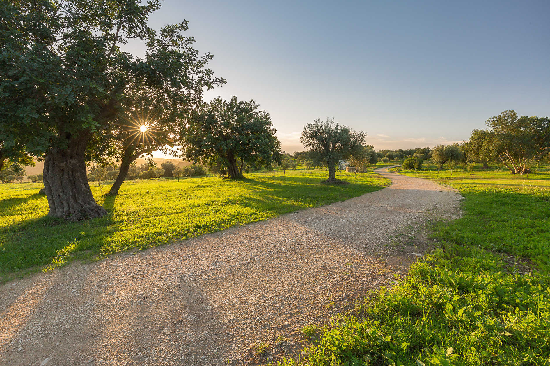 Photogallery Masseria della Volpe | Luxury Eco-resort Val di Noto